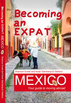 becoming an expat mexico book cover image
