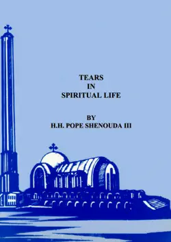 tears in spiritual life book cover image
