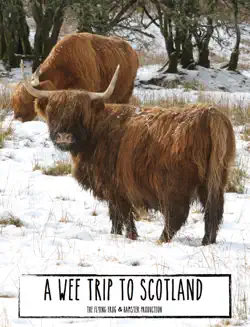 a wee trip to scotland book cover image