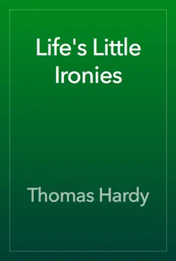 life's little ironies book cover image