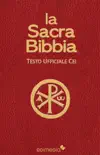 La Sacra Bibbia synopsis, comments