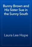 Bunny Brown and His Sister Sue in the Sunny South synopsis, comments