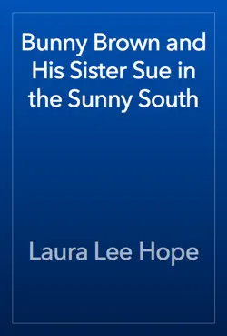 bunny brown and his sister sue in the sunny south book cover image