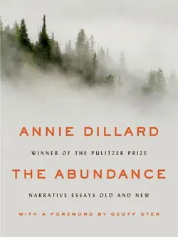 the abundance book cover image