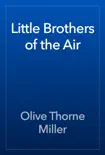 Little Brothers of the Air reviews