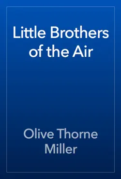 little brothers of the air book cover image