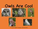 Owls Are Cool reviews
