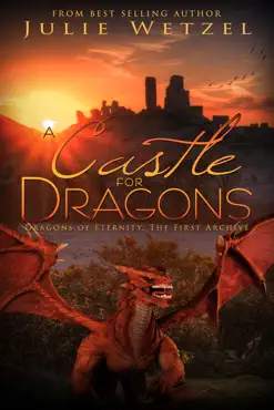 a castle for dragons book cover image