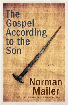 the gospel according to the son book cover image