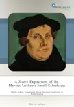 A Short Exposition of Dr. Martin Luther's Small Catechism sinopsis y comentarios