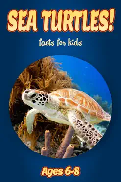 facts about sea turtles for kids 6-8 book cover image