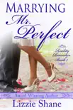 Marrying Mister Perfect synopsis, comments