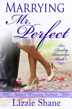 marrying mister perfect book cover image