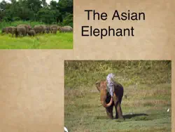 the asian elephant book cover image