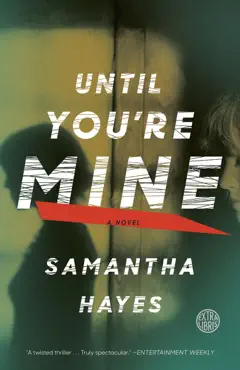 until you're mine book cover image