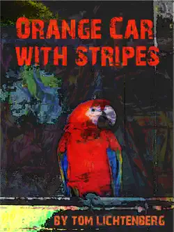 orange car with stripes book cover image