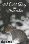 A Cold Day in December sinopsis y comentarios