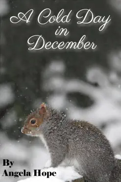 a cold day in december book cover image