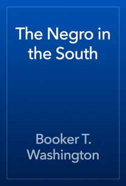 the negro in the south book cover image