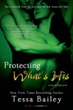 Protecting What's His book summary, reviews and downlod