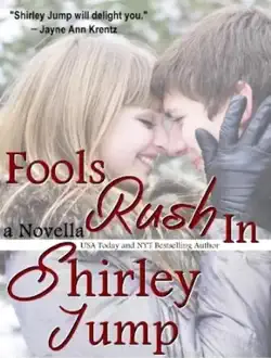 fools rush in - novella book cover image