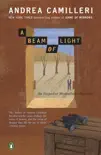 A Beam of Light synopsis, comments