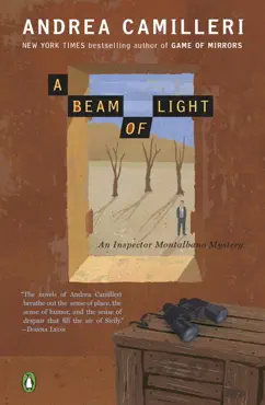 a beam of light book cover image