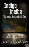 Indigo Incite synopsis, comments