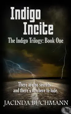 indigo incite book cover image