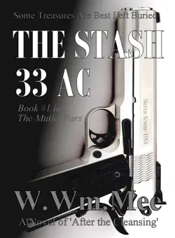 33 ac the stash book cover image