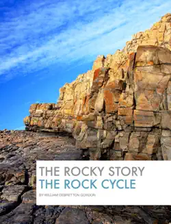 the rocky story book cover image