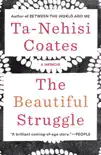 The Beautiful Struggle synopsis, comments