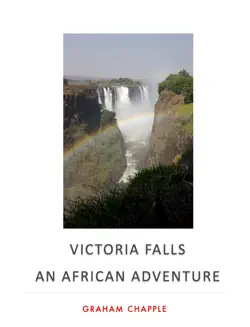 victoria falls book cover image