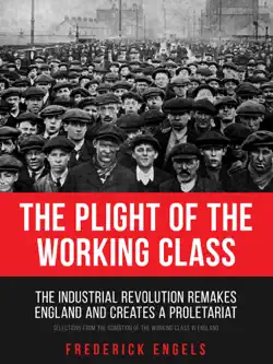 the plight of the working class book cover image