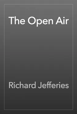 the open air book cover image