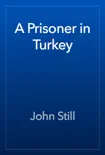 A Prisoner in Turkey reviews