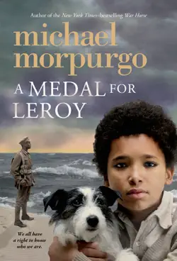 a medal for leroy book cover image