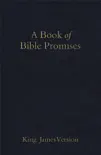 KJV Book of Bible Promises Midnight Blue synopsis, comments
