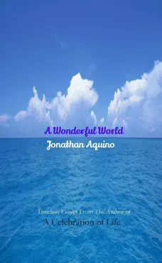 a wonderful world book cover image