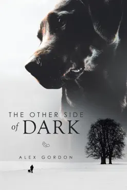 the other side of dark book cover image