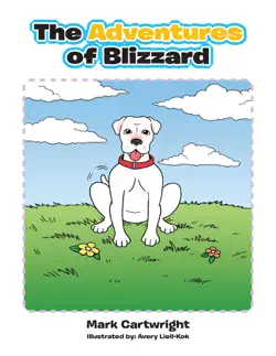 the adventures of blizzard book cover image