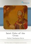 Saint John of the Cross synopsis, comments