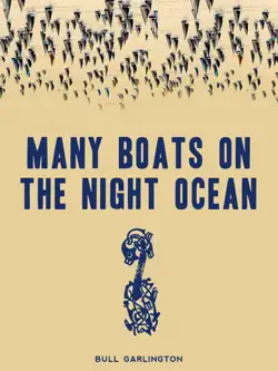 many boats on the night ocean book cover image