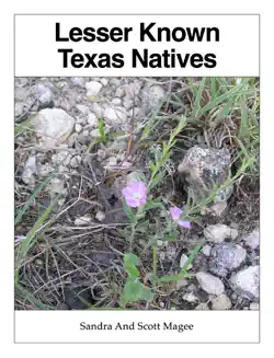 lesser known texas natives book cover image