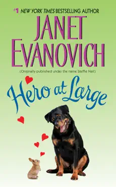 hero at large book cover image
