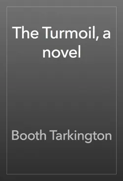 the turmoil, a novel book cover image