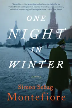 one night in winter book cover image