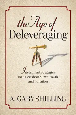 the age of deleveraging book cover image