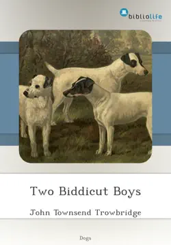 two biddicut boys book cover image