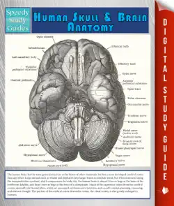 human skull and brain anatomy (speedy study guide) book cover image